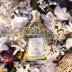 Aqua Allegoria Harvest - Nerolia Vétiver - Eau de Toilette